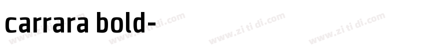 carrara bold字体转换